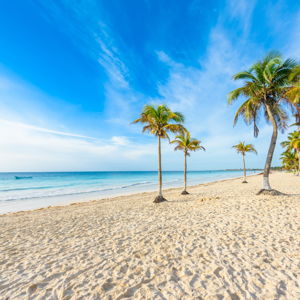 St John Honeymoon Fund