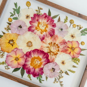 White Poppy Flower Preservation