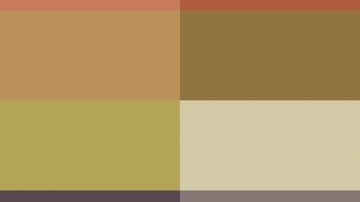 Main Content Image