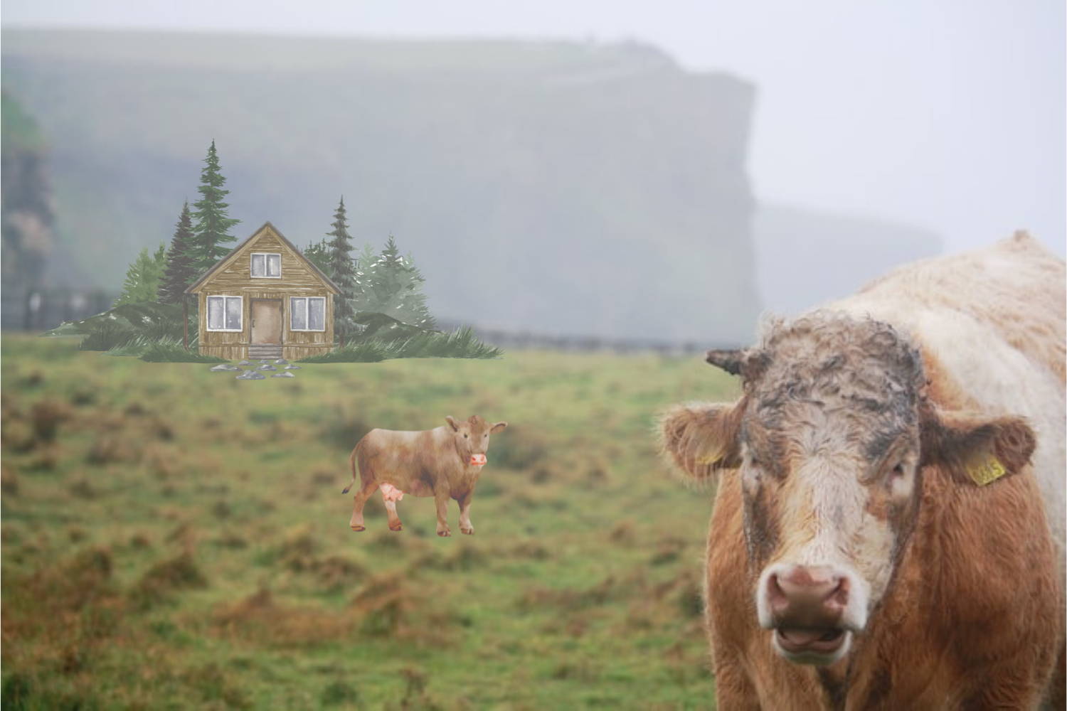 mucca in un prato fotografata usando come regola di composizione la regola dei terzi