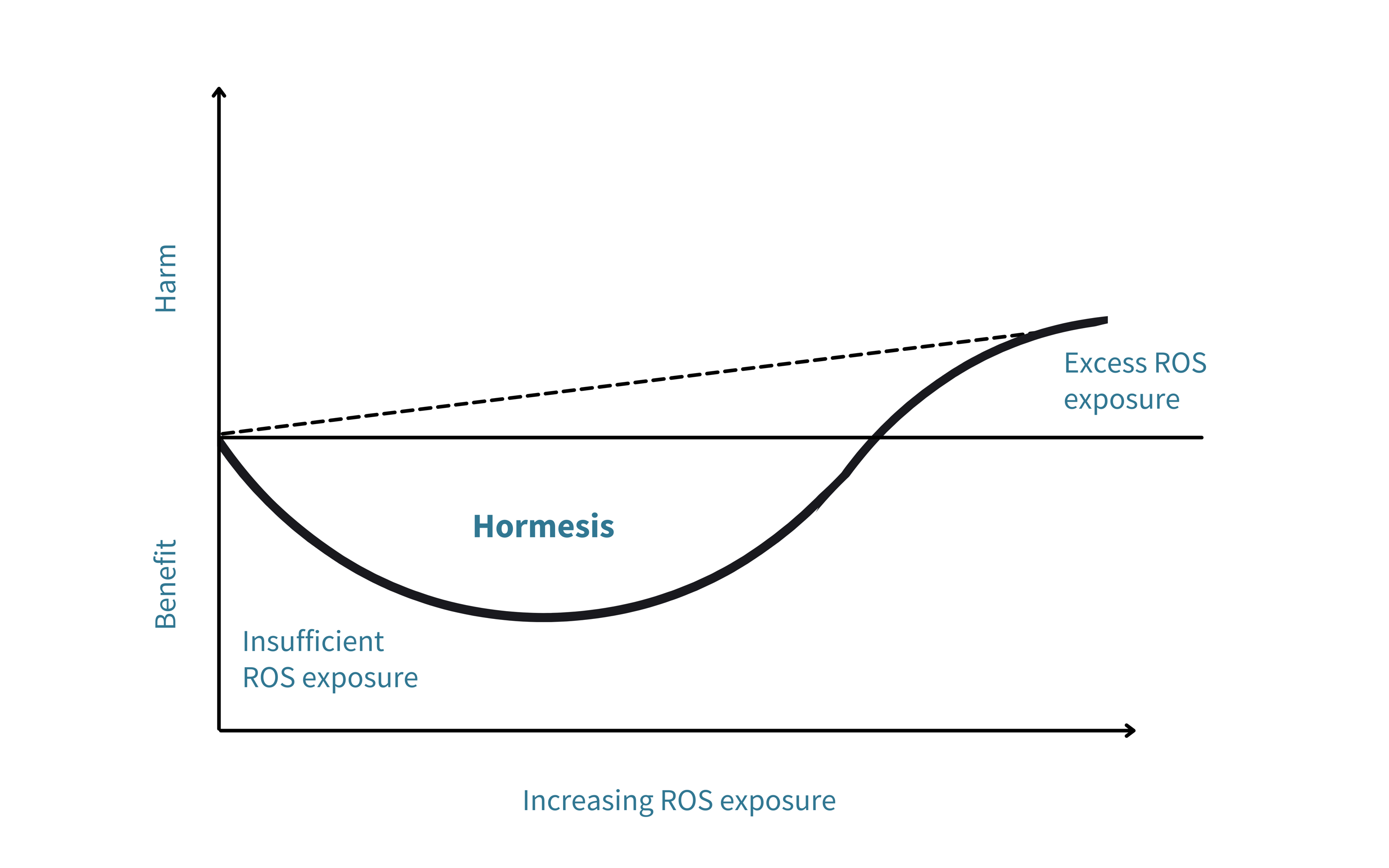 Hormesis explains the fine balance between healthy ROS exposure and excess