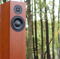 Totem Acoustic Forest LIKE NEW 3