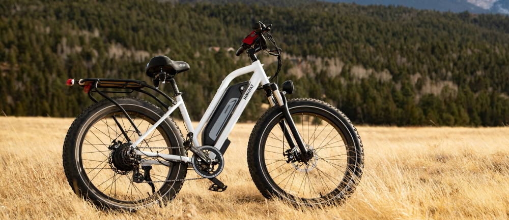 a white Himiway electric bike in a field of grass