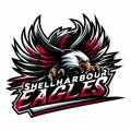 Shellharbour Eagles