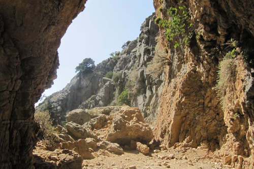 Ущелье Имброс (из Ретимно)