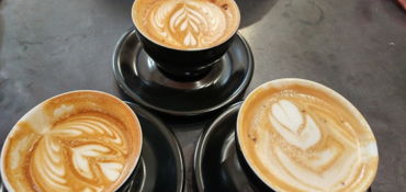San Diego Coffee Shop Tour  near Chula Vista, CA
