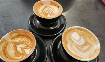 San Diego Coffee Shop Tour 