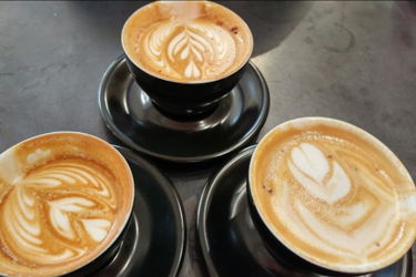 San Diego Coffee Shop Tour 