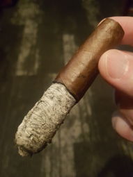 Cigar Session Photo