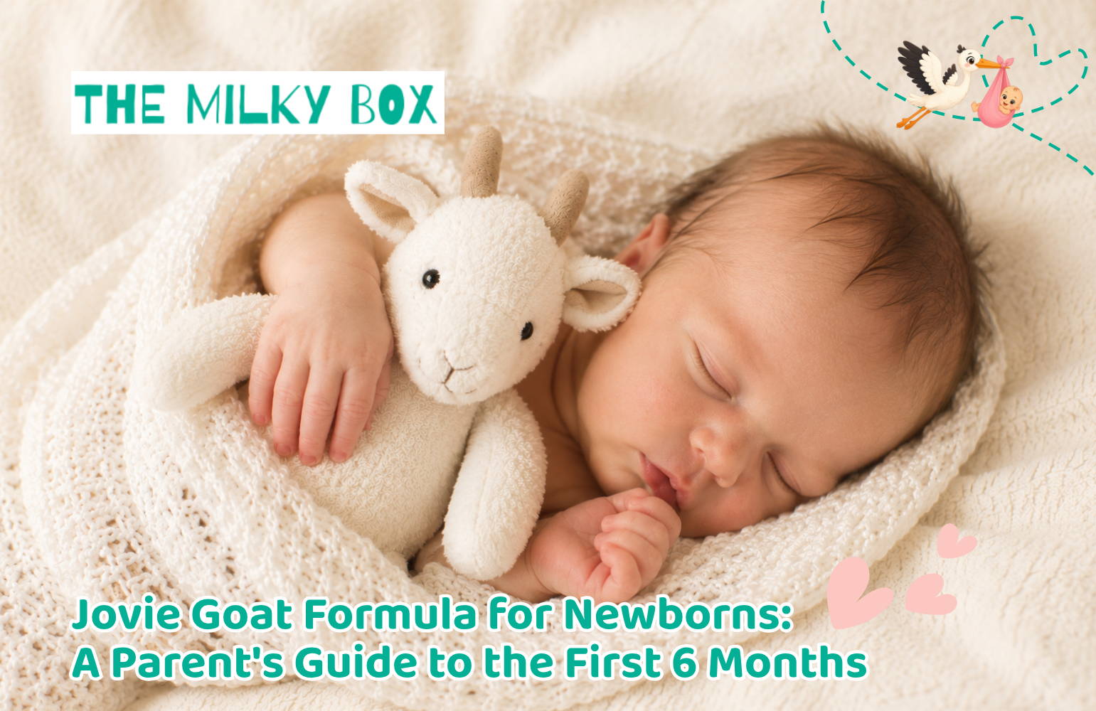 Plant-Based Baby Formula Myths Debunked: What Parents Get Wrong in 2026 | The Milky Box