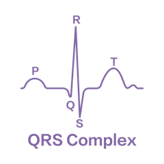 El electrocardiógrafo Biocare iE6 es muy sensible en la detección de QRS