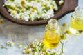Roman Chamomile Essential Oil