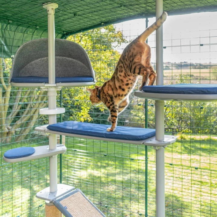 Retro cat tree store