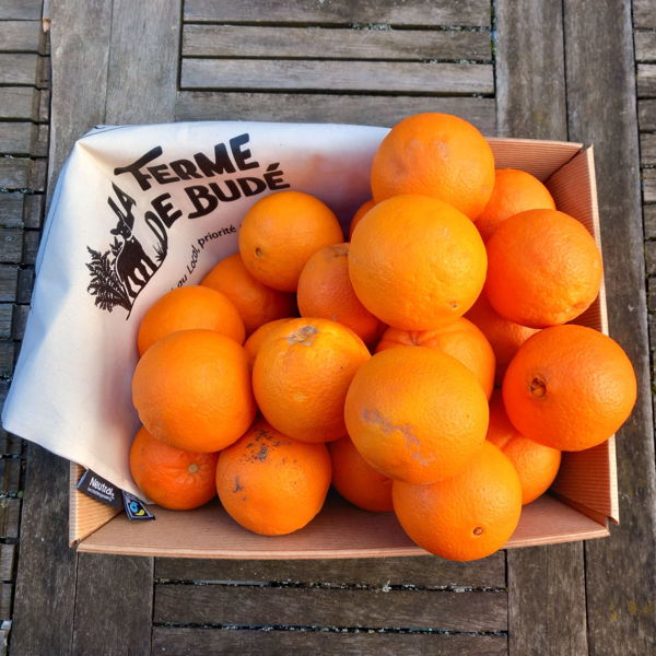 carton-doranges-bio-5kg