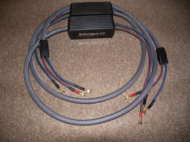 MIT Cables Shotgun S3s 10' Clean, with iConns