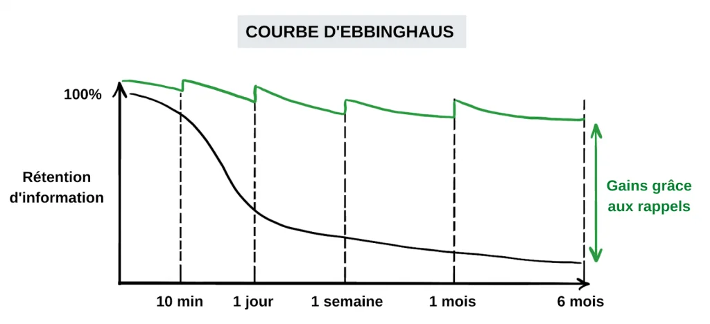 flashcards en PASS courbe ebbinghaus