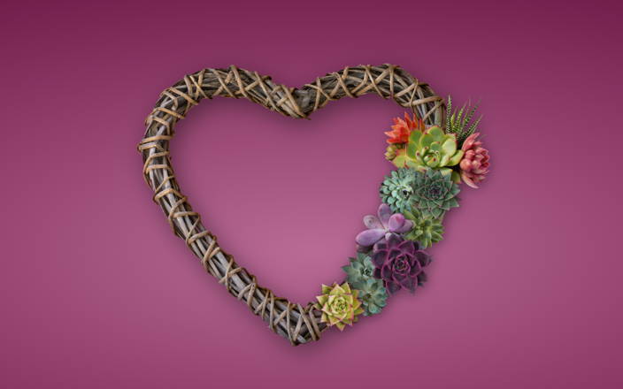 Heart shaped wreath decorated with succulents (preview)