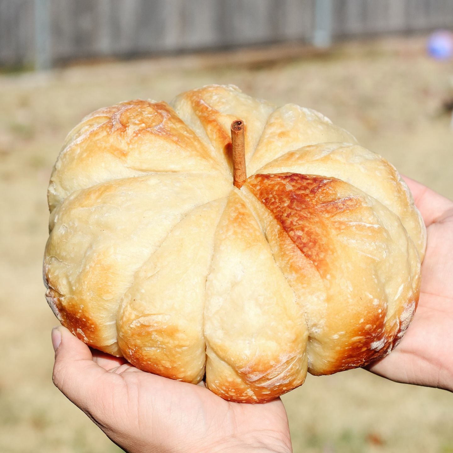 Mother Hen Bakery — photo from hotplate.com