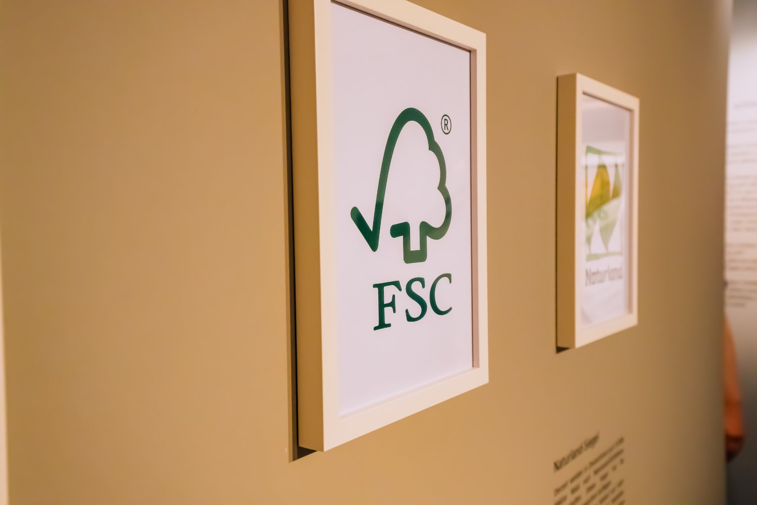 Everything You Need To Know About FSC Certification