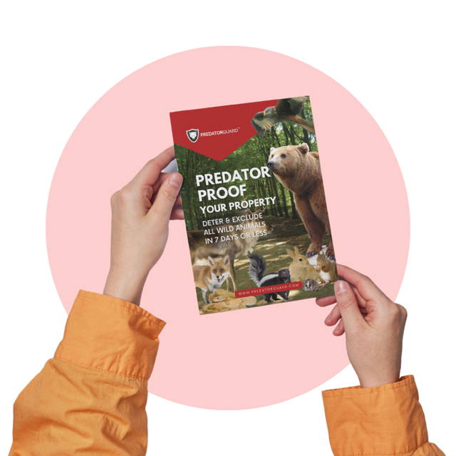 Predator Guard - Free Ebook - Predator Proof Your Property Image Predator Guard - Free Ebook - Predator Proof Your Property Image