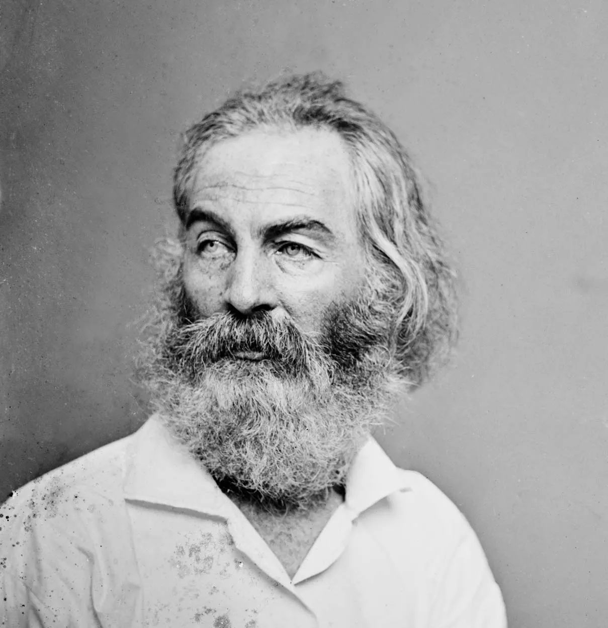 Black and white portrait of and older Walt Whitman with a large beard.