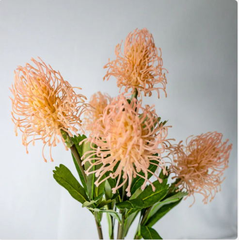 Pink Leucospermum - Realistic Artificial Flowers