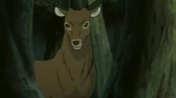 Main Content Image