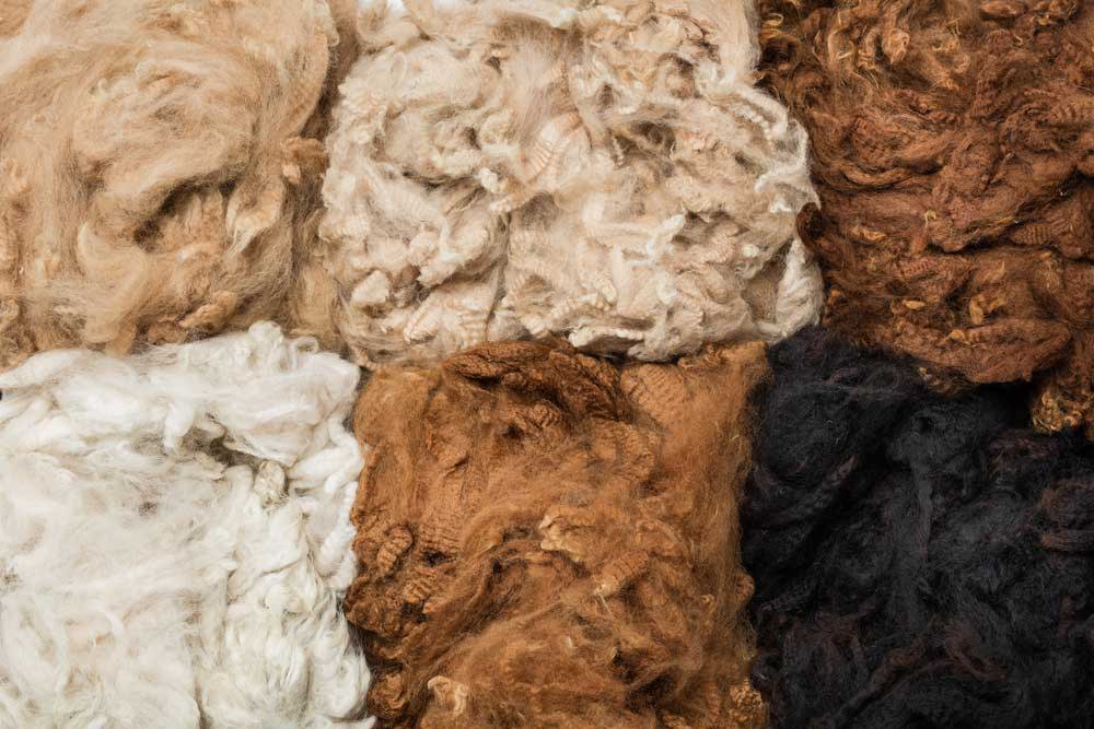 Alpaca is a soft fabric similar to wool, but notably different with respect to its impact on the environment.