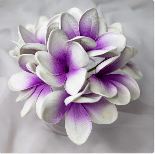 Picasso Frangipani Flowerhead (6 Pack) - Realistic Artificial Flowers - Image 4