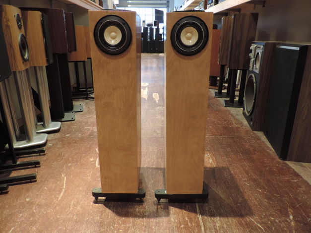 The Horn Shoppe Horn Speakers w/ Metal T Frame Spikes