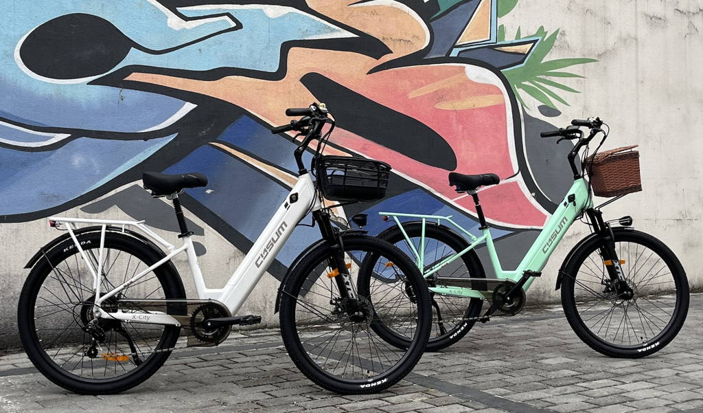 Cysum X-City Electric Bike - 48V 250W Motor, 45Nm Torque