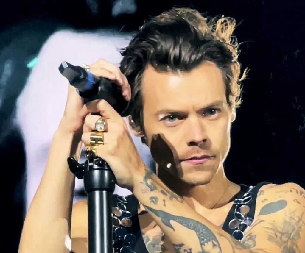 Harry Styles | Performers & Artists | tix4cause