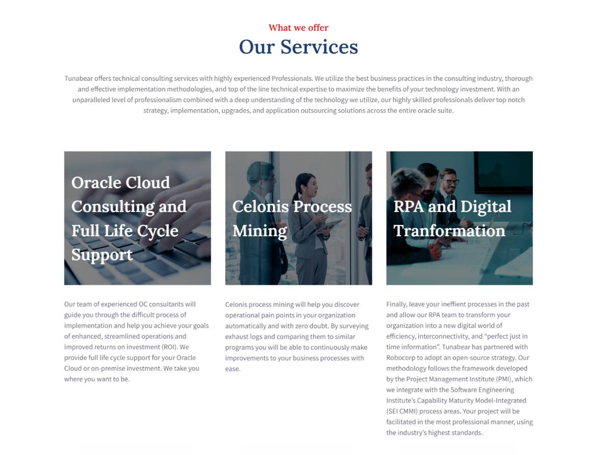 Tunabear product / service