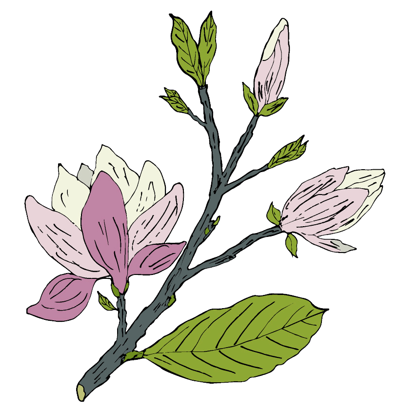 Deep relax xena nutrition ingredient magnolia