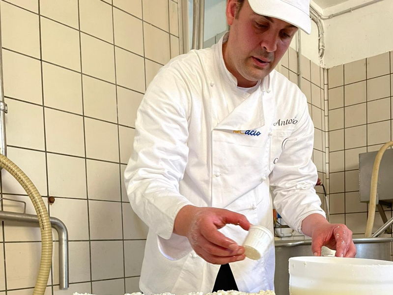 Cursos de cocina Vico Equense: Curso de cocina con quesos de nuestra quesería.