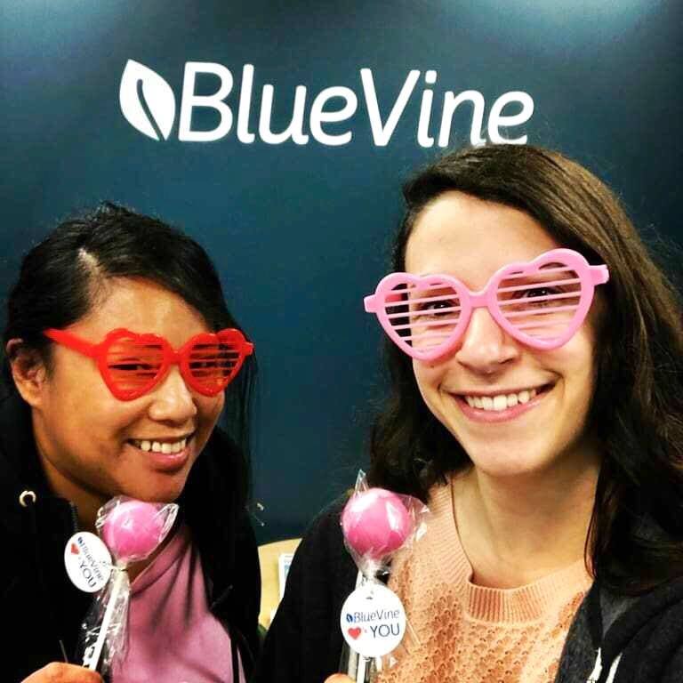 About bluevine