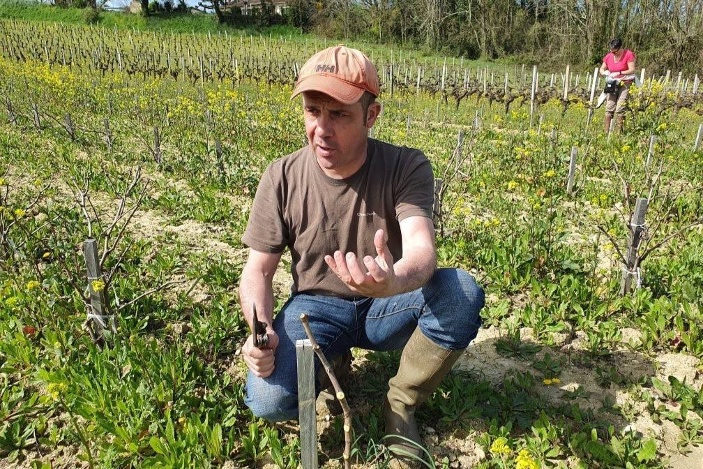 Jean-Yves Millaire, vigneron de Fronsac