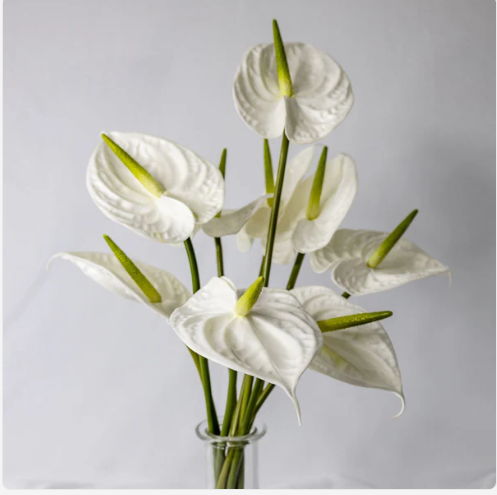 White Large Anthurium - Realistic Artificial Flowers - Image 4