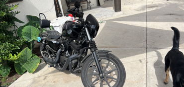 2021 HARLEY-DAVIDSON XL1200NS IRON 1200 motorcycle for rent near Chula Vista, CA