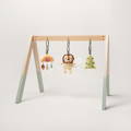 Montessori Play Gym.