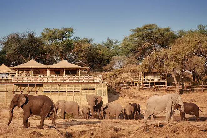 Chambre du Savute Elephant Lodge.