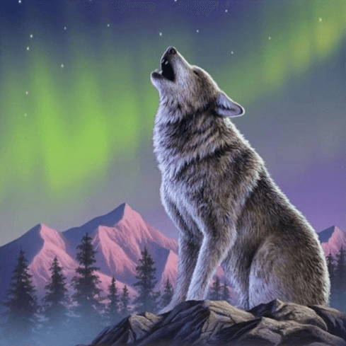 wolves  5d diamond painting collection