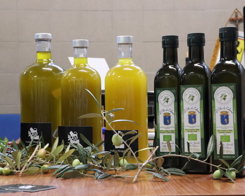 Tour enogastronomici Palermo: Alla scoperta dell'olio d'oliva siciliano