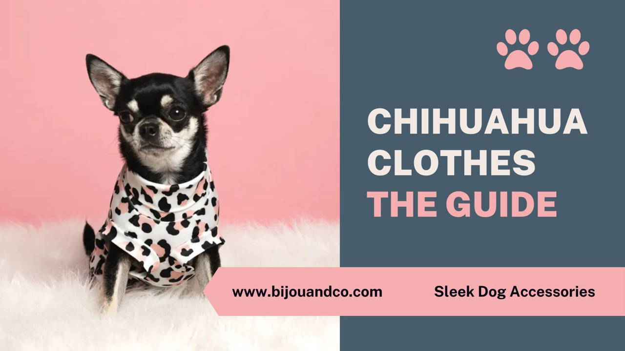 Chihuahua clothes