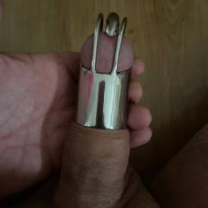 Large PA Chastity device