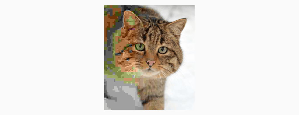 On the left, you can see the result of very strong lossy compression. The right side is much less compressed. Visual demonstration of JPEG compression artifacts