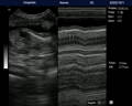 Imagen de escaneo de frecuencia cardíaca de perro con ultrasonido veterinario VU10