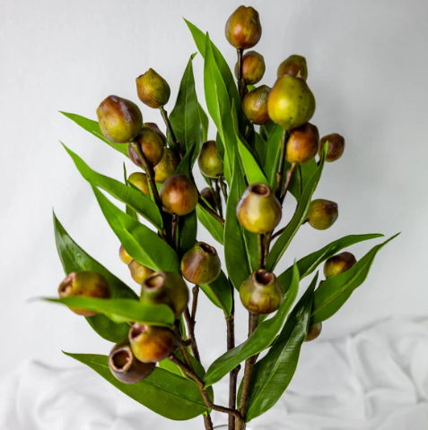 Green Gum Nut Spray - Realistic Artificial Flowers and Greenery