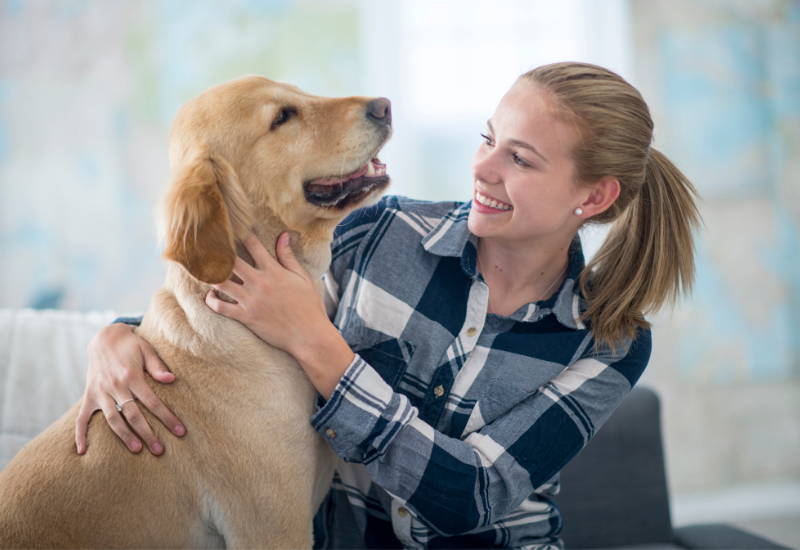 犬チーズ