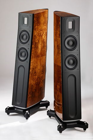 Raidho Acoustics APS D2.1 Loudspeaker